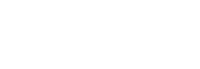 AVM HOLDING